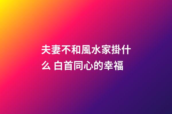 夫妻不和風水家掛什么 白首同心的幸福